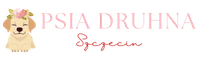 psia druhna szczecin